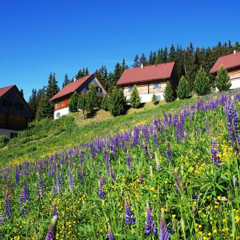 MoselebauerAlm - Chalet - 30