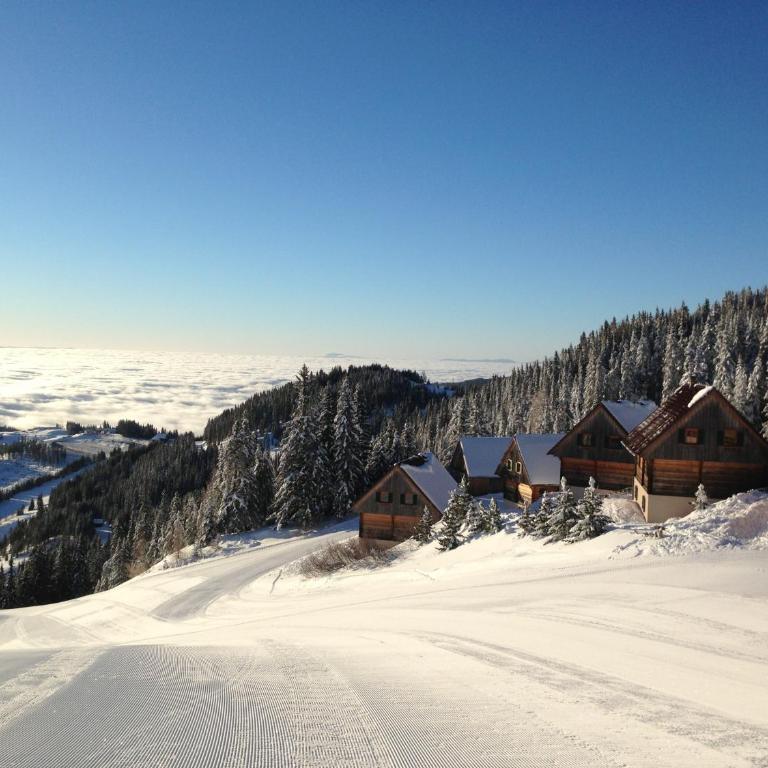 MoselebauerAlm - Chalet - 28