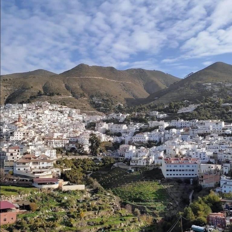 FINCA EL ALMENDRO - Casa de 5 dormitorios - 41