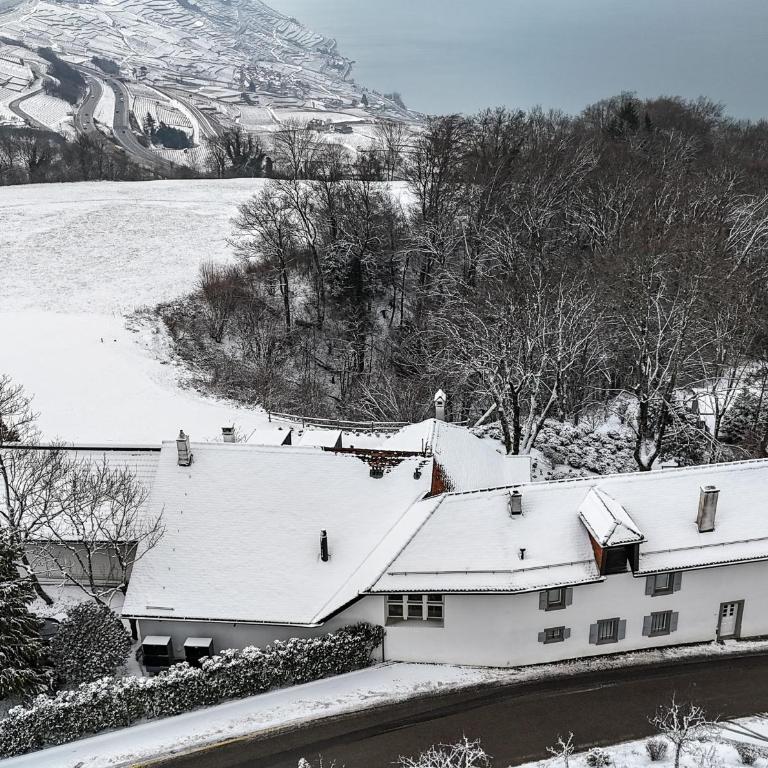 Domaine du Deven Grandvaux - Apartment mit Gartenblick - 10