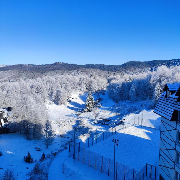 Castello apartman Kopaonik Kraljevi Cardaci komplex - Apartman sa 1 Spavaćom Sobom - 24