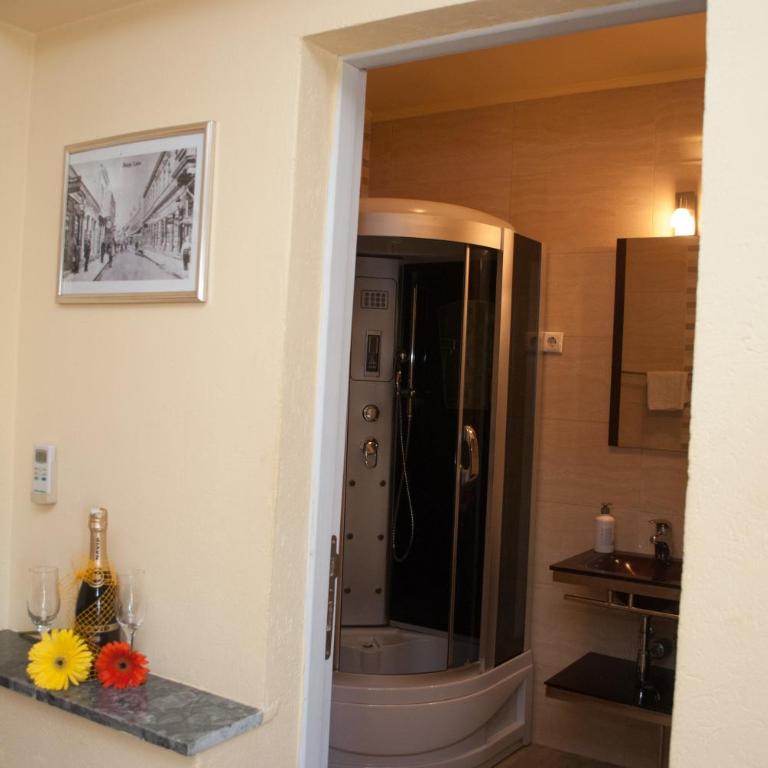 Hostel Fortuna - Standardna Dvokrevetna Soba sa Bračnim Krevetom/Zasebnim Krevetima - 3