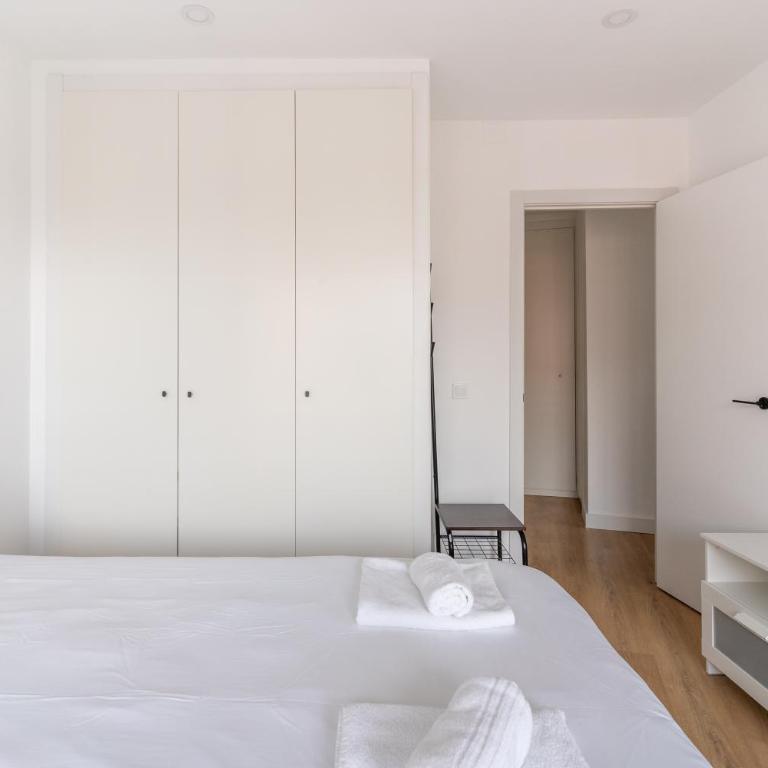 Bright with terrace- 2Bd 2Bth- Salamanca - Apartamento de 2 dormitorios - 49