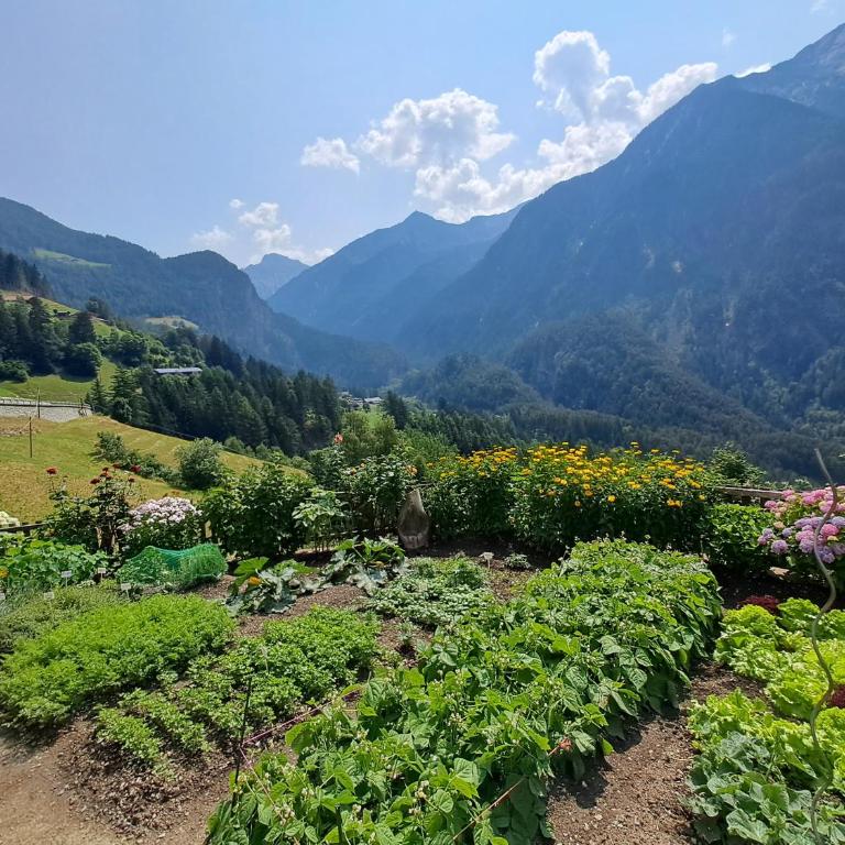 Appartment Wasserfallspitz - Appartement 1 Chambre - 20