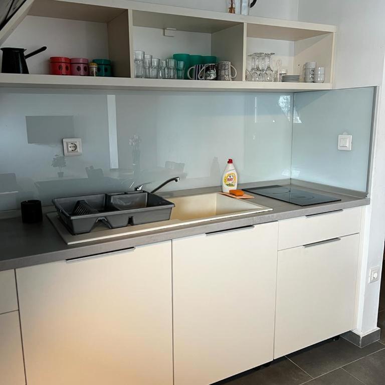 Vučko apartmani Konaci - Apartman sa 1 Spavaćom Sobom - 3