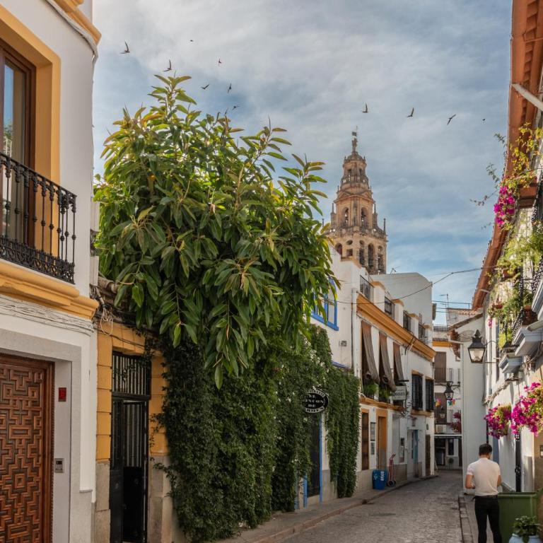 Luxury El Patio de la Juderia - Two-Bedroom Apartment - 31
