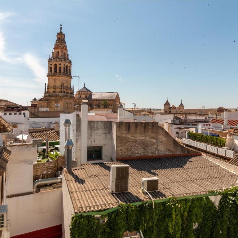 Luxury El Patio de la Juderia - Two-Bedroom Apartment - 33