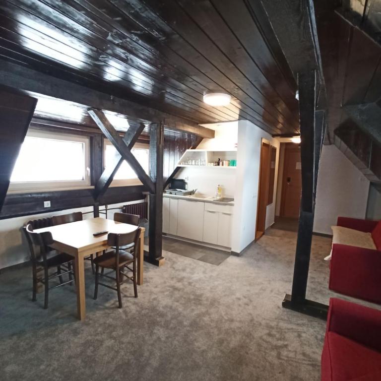 Vučko apartmani Konaci - Apartman sa 1 Spavaćom Sobom - 11