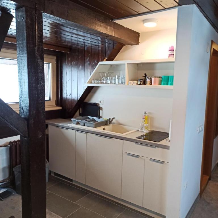 Vučko apartmani Konaci - Apartman sa 1 Spavaćom Sobom - 12