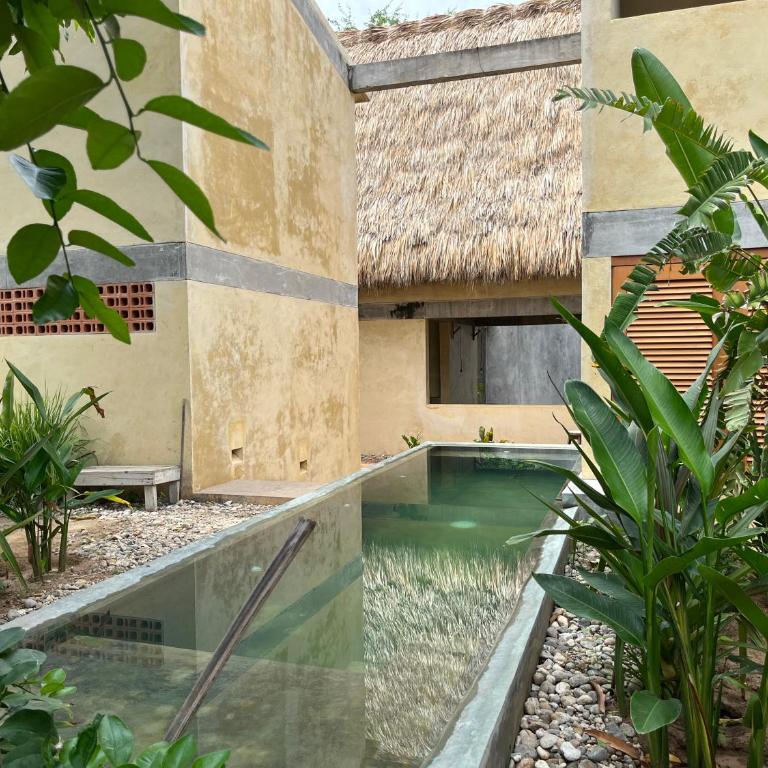 Agua de Coco - Habitación Doble - 5