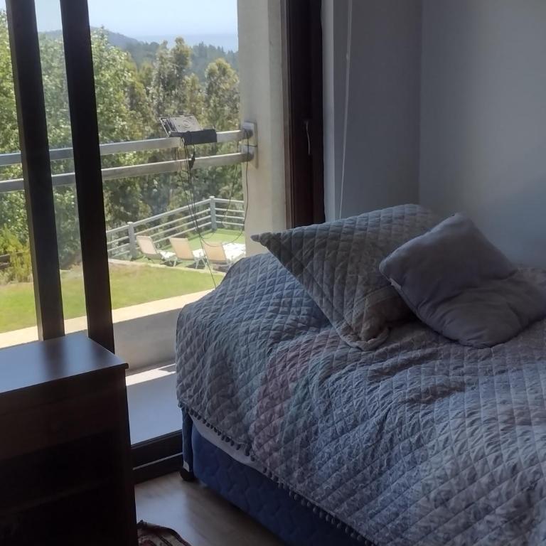 Pingueral Casa 07 - Three-Bedroom Apartment - 8