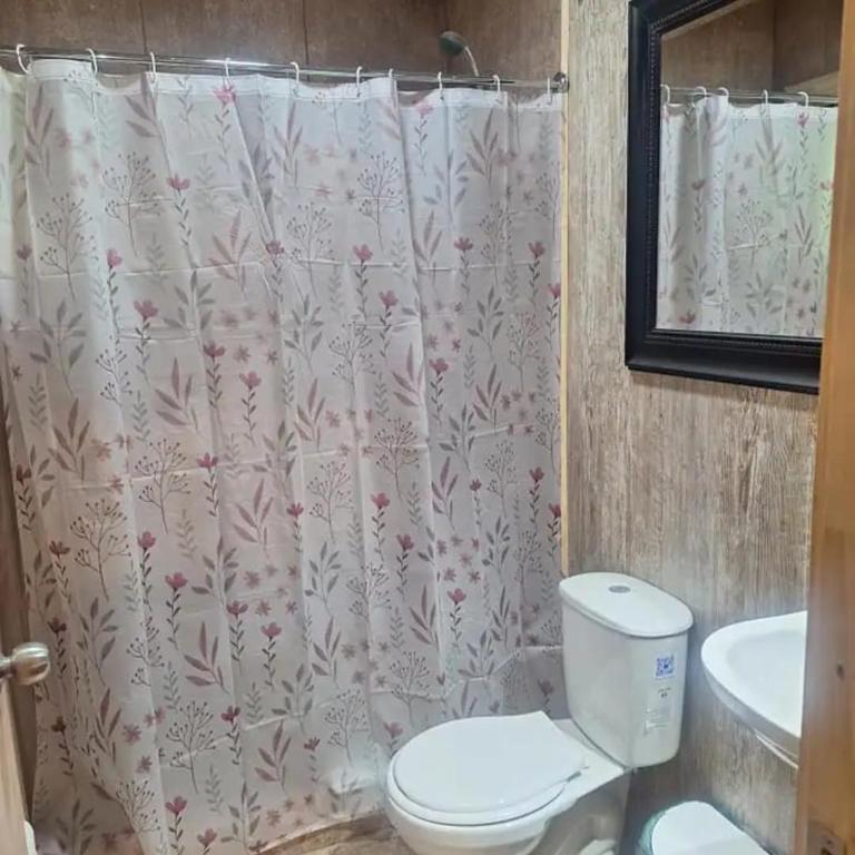 Cabaña en Castro Chiloe - Two-Bedroom House - 5