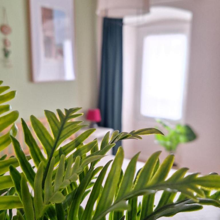 Al Glicine Apartments - Appartamento con 1 Camera da Letto - 2
