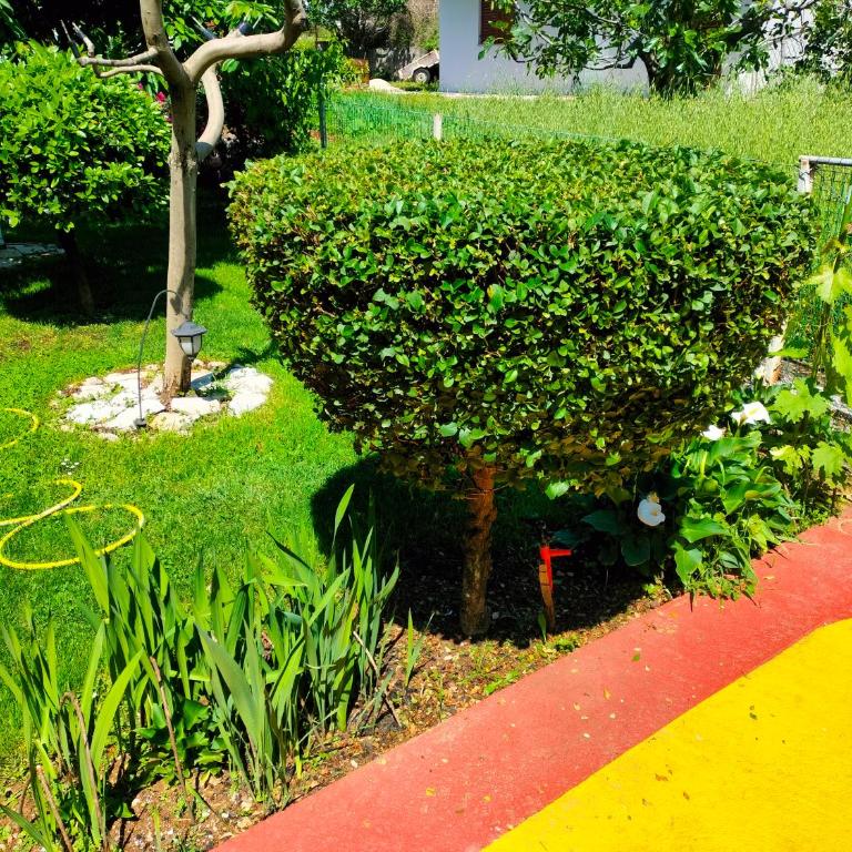 Apartman Zvijerko - Apartman sa 2 Spavaće Sobe - 14