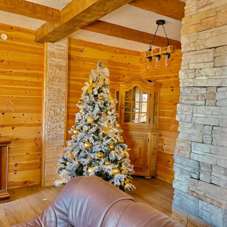 Savoja Žabljak - Four-Bedroom House - 5
