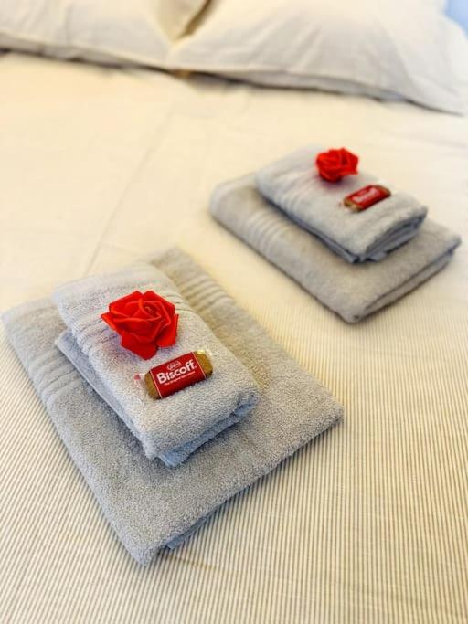 Le Bohème Chic - Gare sud Rennes - Appartement 1 Chambre - 6