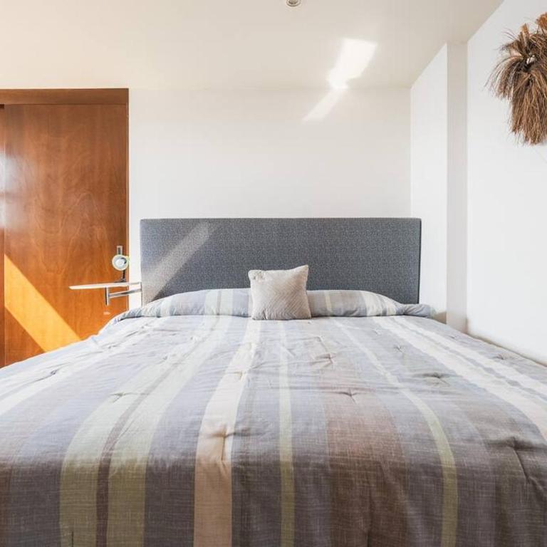 Nice and Comfortable suite with GYM in Polanco - One-Bedroom Apartment - 4