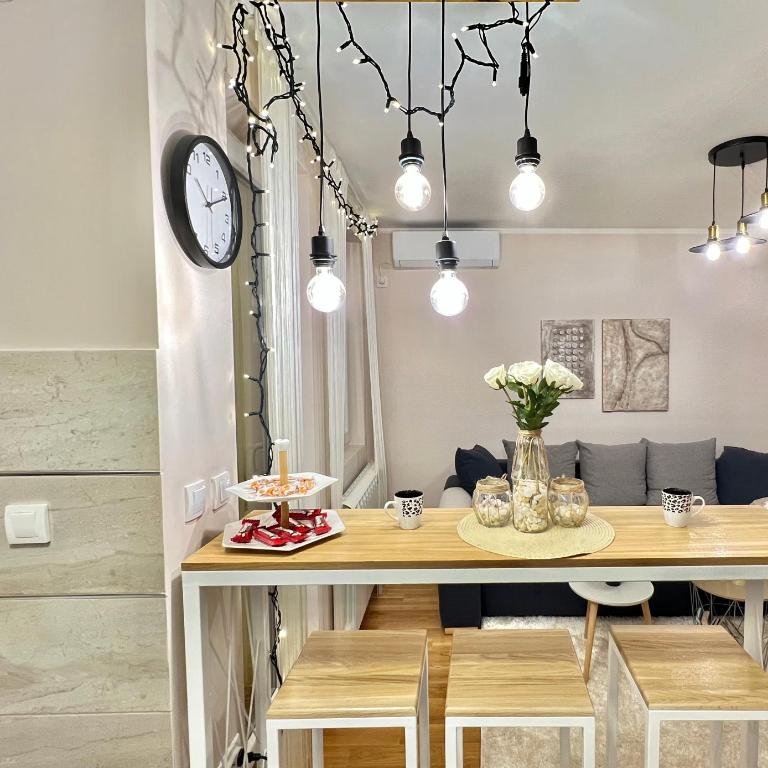 Aero Fly apartment Belgrade - Apartman sa 1 Spavaćom Sobom - 27