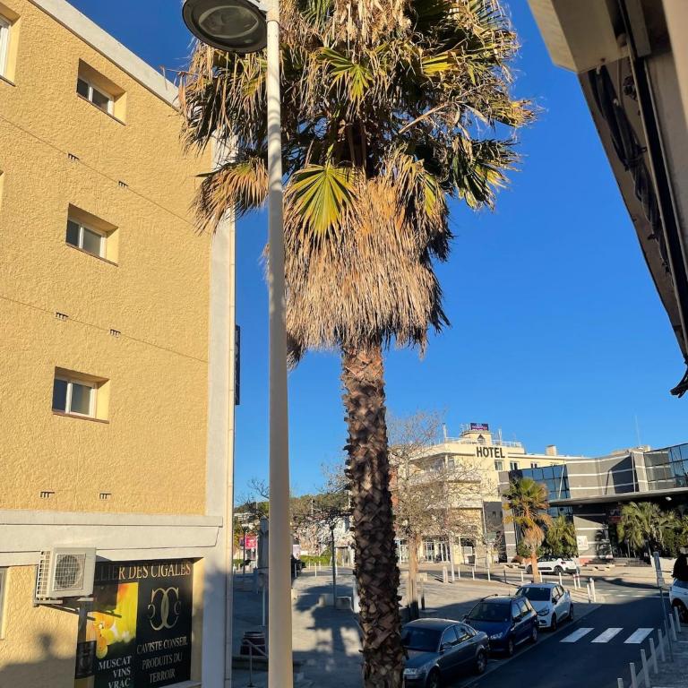 Le Provence au coeur de la Corniche - CLIM - Appartement 1 Chambre - 17