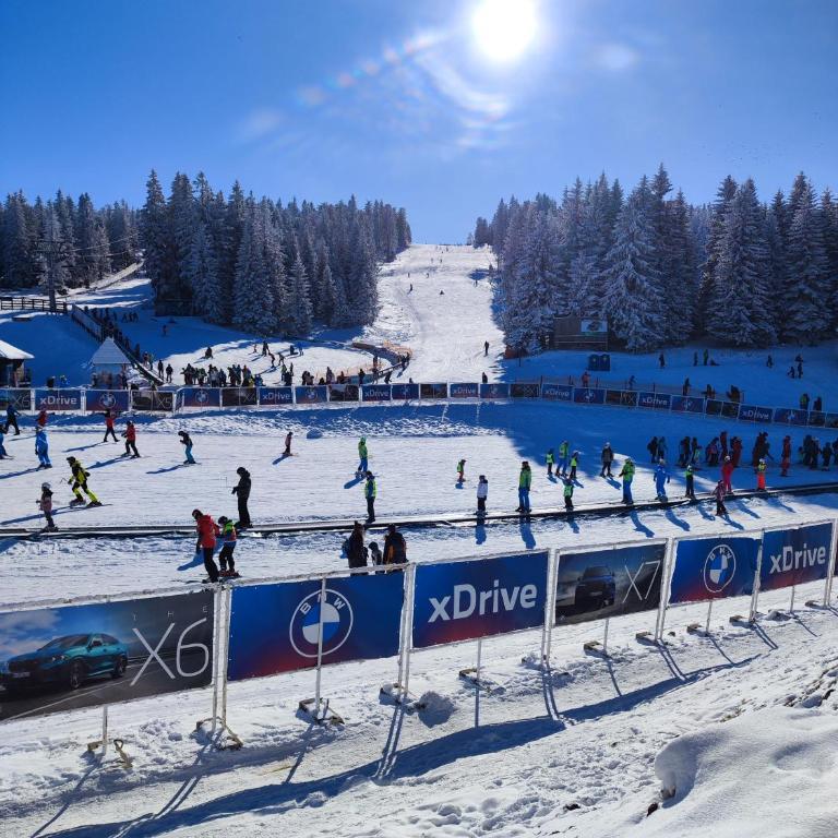 Castello apartman Kopaonik Kraljevi Cardaci komplex - Apartman sa 1 Spavaćom Sobom - 23