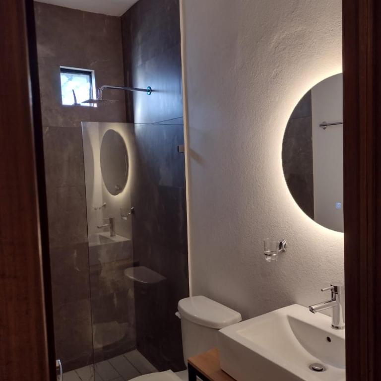 Vidrio Suites Col Americana - Estudio Estándar - 15