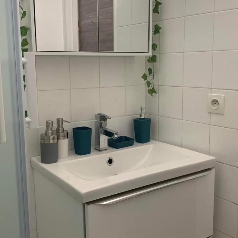 Studio 24m2 intra-muros - Monolocale Standard - 11