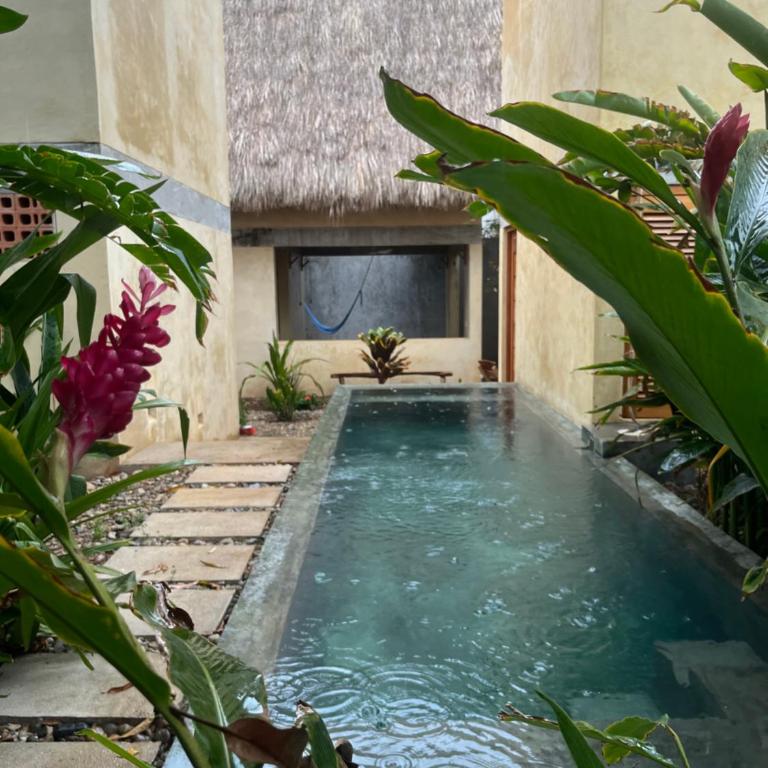Agua de Coco - Habitación Doble con terraza - 3