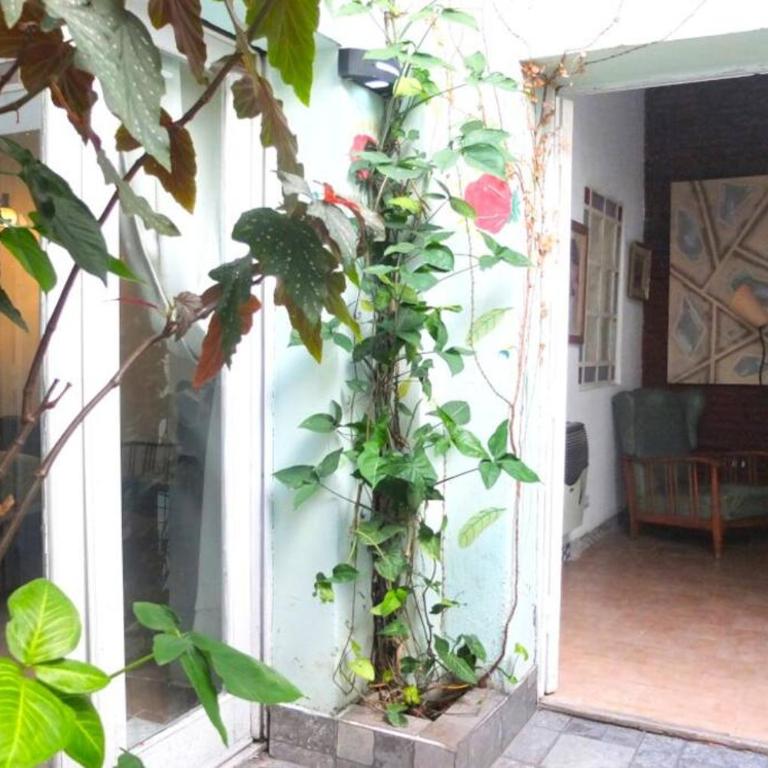 Casa San Telmo 3026 - Apartamento de 2 dormitorios - 4