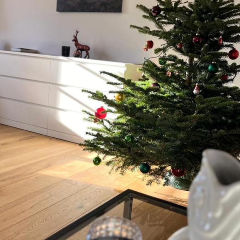 Allgäu Cottage - traumhafter Blick in die Schweizer Berge - Maisonette-Apartment - 30