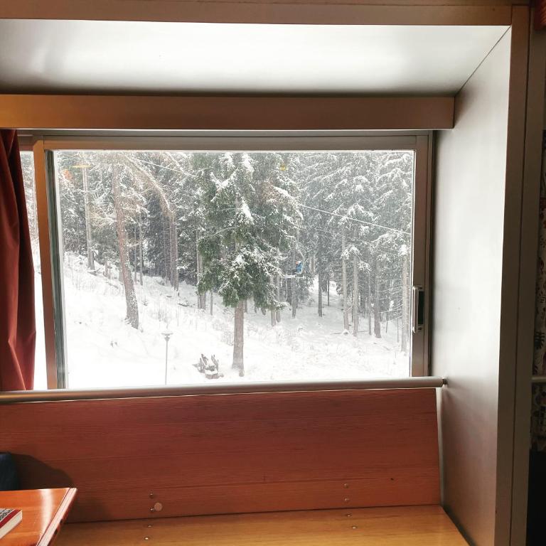 Sole Alto Marilleva - Appartamento con 1 Camera da Letto - 13