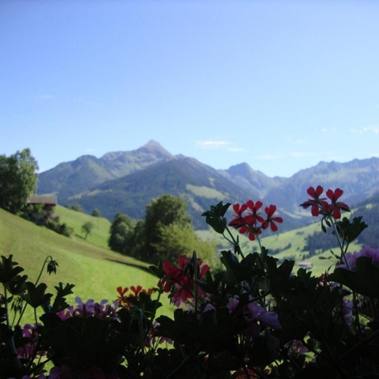 Alpengasthof Rossmoos - Apartment mit Balkon - 3
