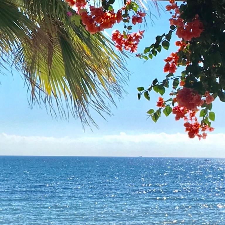 MI CAPRICHO Beachfront 401 - Apartment With Sea Views Costa del Sol - Apartamento de 2 dormitorios - 37