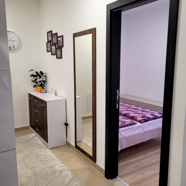 Apartman Lukić - Apartman sa 1 Spavaćom Sobom - 5