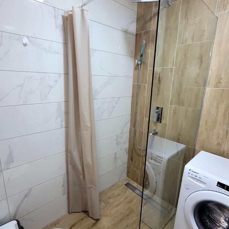 Apartman Lukić - Apartman sa 1 Spavaćom Sobom - 21
