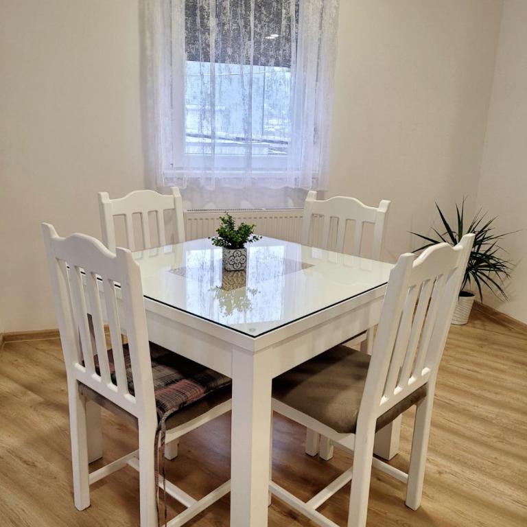 Apartman Lukić - Apartman sa 1 Spavaćom Sobom - 14