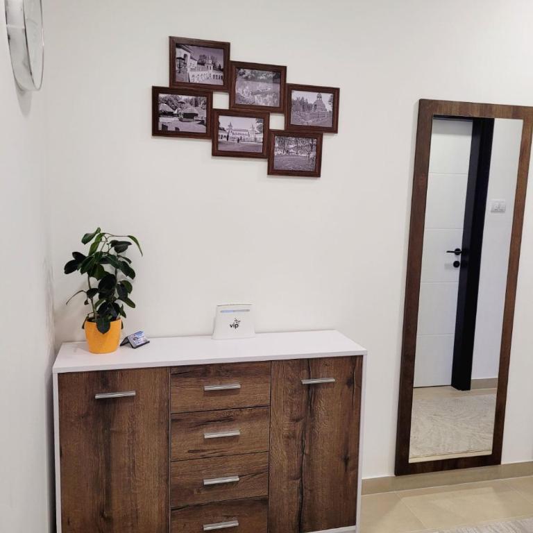 Apartman Lukić - Apartman sa 1 Spavaćom Sobom - 3