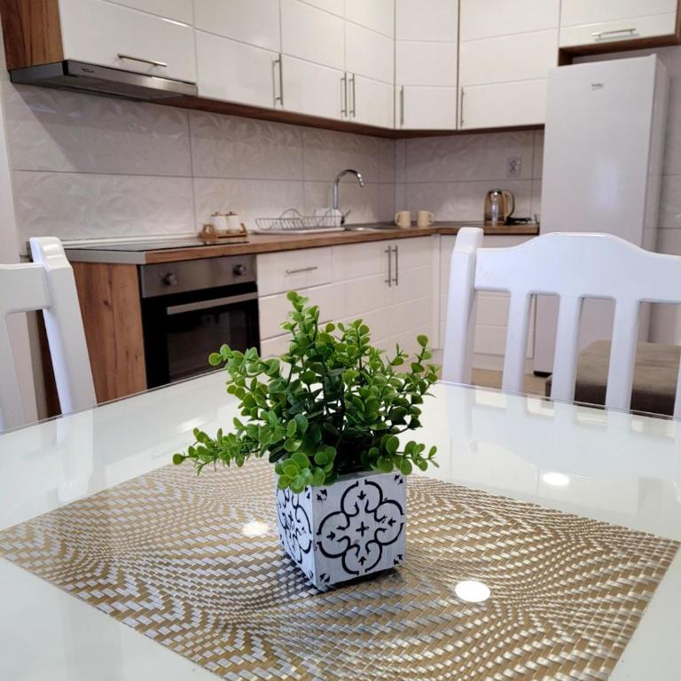 Apartman Lukić - Apartman sa 1 Spavaćom Sobom - 18