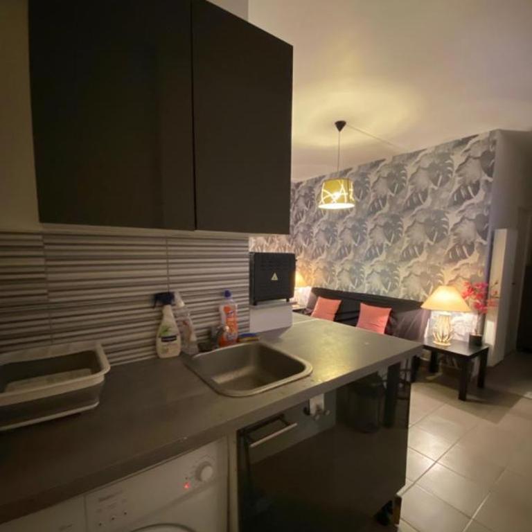 Belle appartement chaleureux à 2 mn à pied du tramway. - Appartamento con 2 Camere da Letto - 6