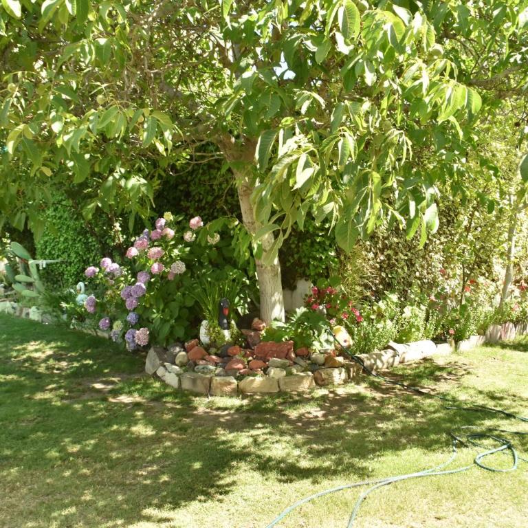 Hostal Madryn - Classic Triple Room - 5