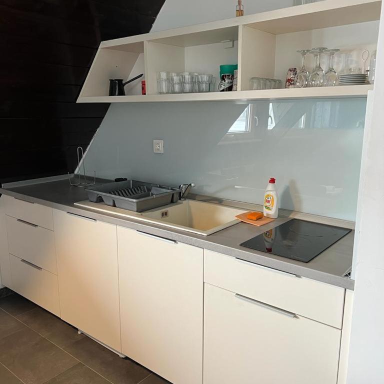 Vučko apartmani Konaci - Apartman sa 1 Spavaćom Sobom - 1