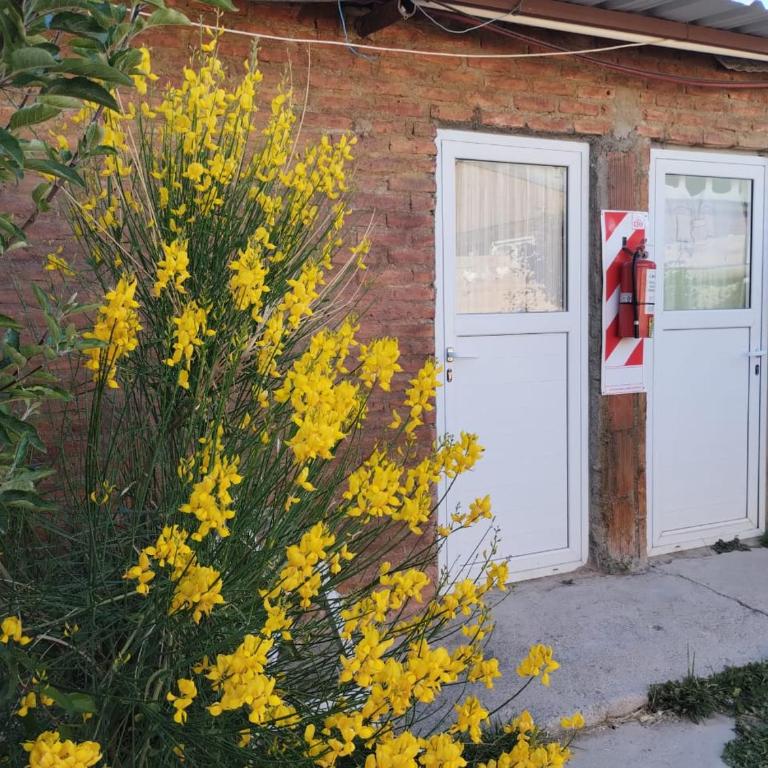 Valle del Viento - Estudio Triple Estándar - 2