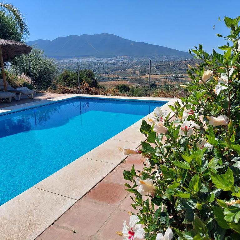 Casa Sunflower - Villa with Private Pool - 55