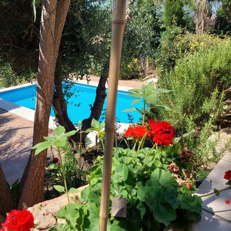 Casa Sunflower - Villa with Private Pool - 60