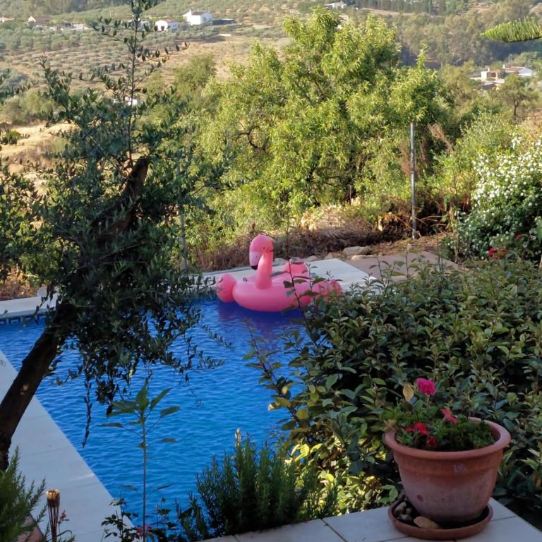 Casa Sunflower - Villa with Private Pool - 98