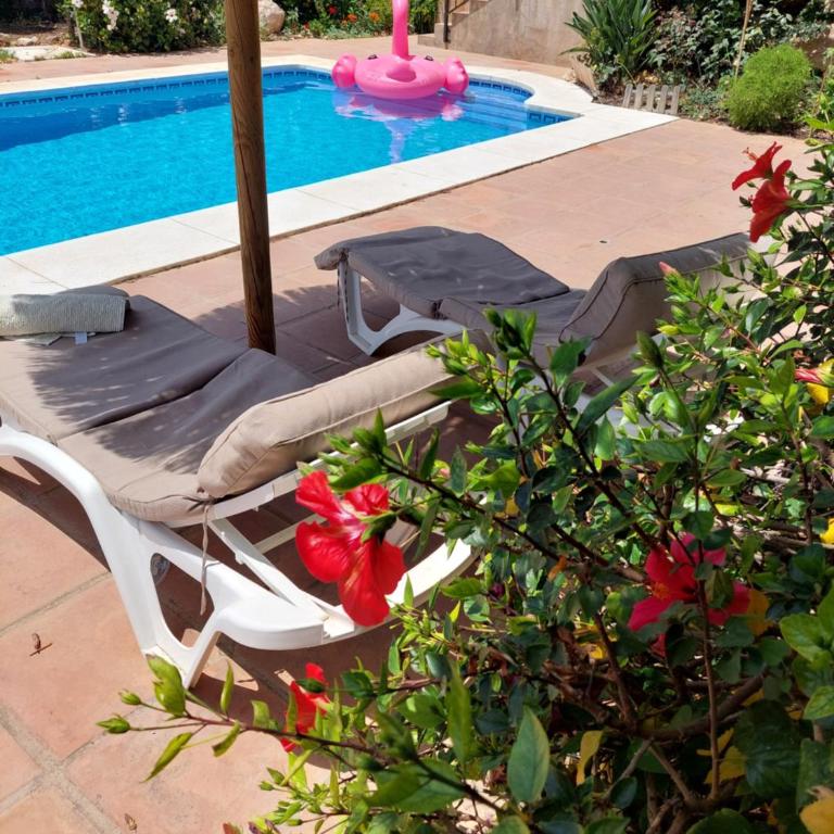 Casa Sunflower - Villa with Private Pool - 97