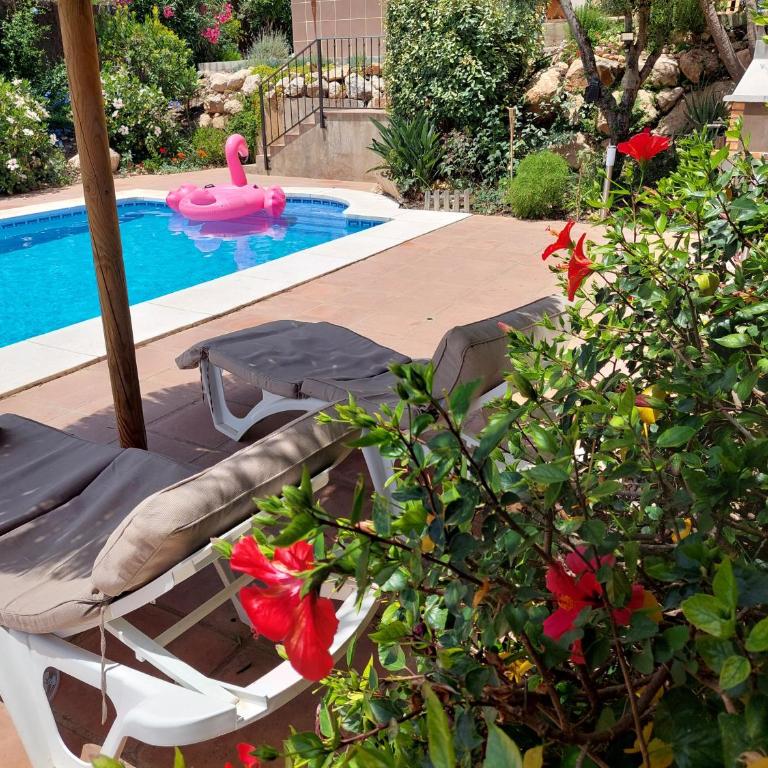 Casa Sunflower - Villa with Private Pool - 88