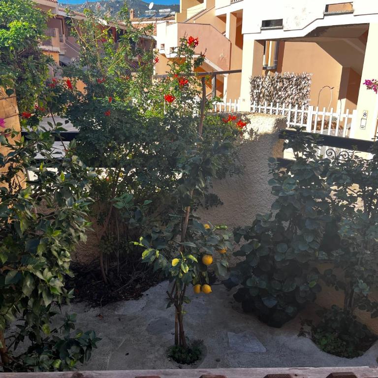 Casa Tina By La Via Del Mare Viaggi e Vacanze - Two-Bedroom House - 3