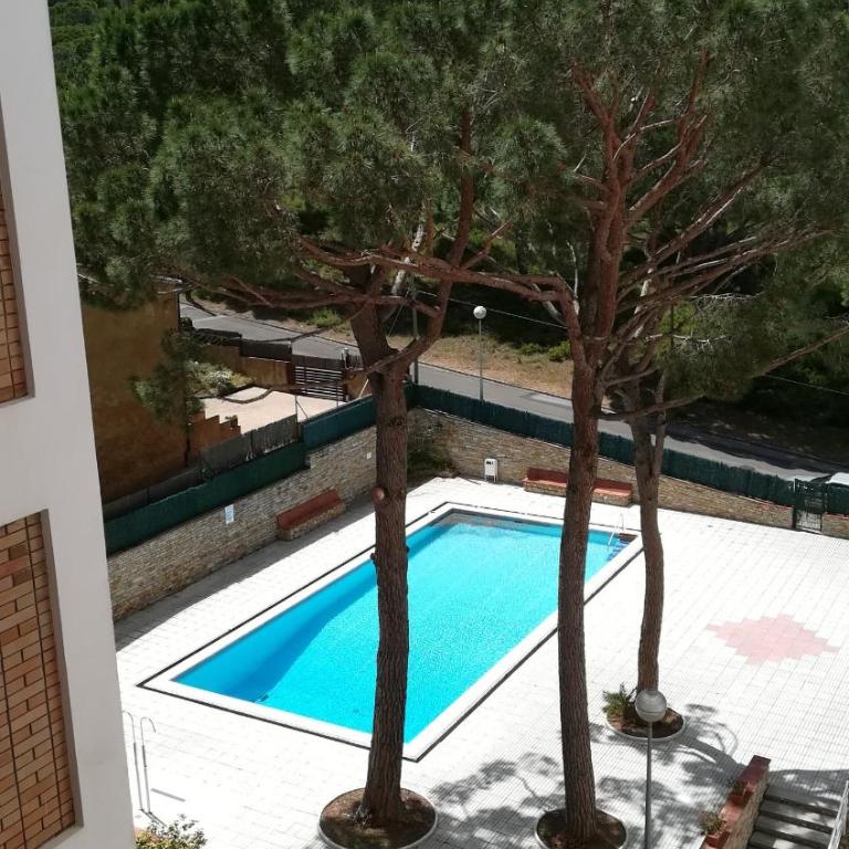 Bosmar Bosc 5-A - Apartamento con terraza - 34