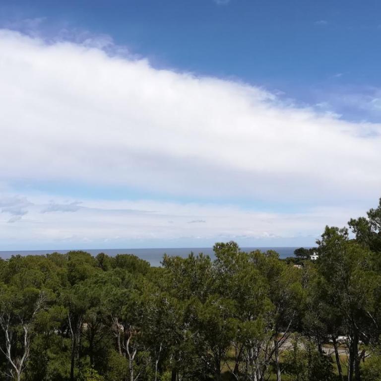 Bosmar Bosc 5-A - Apartamento con terraza - 38