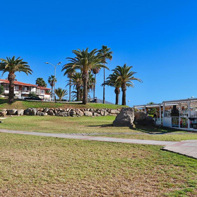 Duque Beachfront Elite - Apartamento - 66